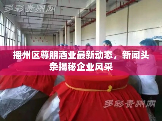 播州区尊朋酒业最新动态，新闻头条揭秘企业风采