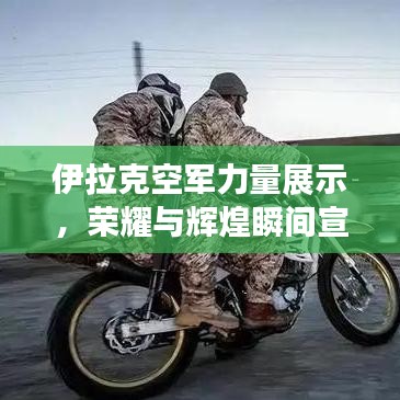 还朴反古 第3页