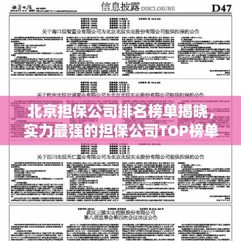 北京担保公司排名榜单揭晓，实力最强的担保公司TOP榜单