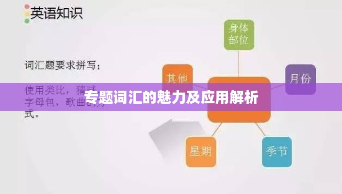 专题词汇的魅力及应用解析
