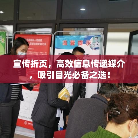 宣传折页，高效信息传递媒介，吸引目光必备之选！