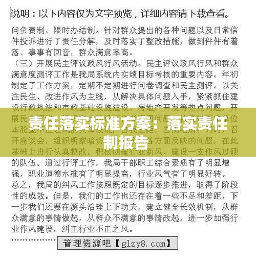 责任落实标准方案：落实责任制报告 