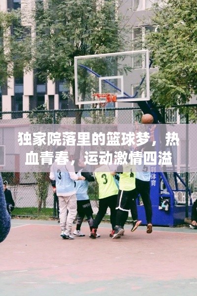 独家院落里的篮球梦，热血青春，运动激情四溢！