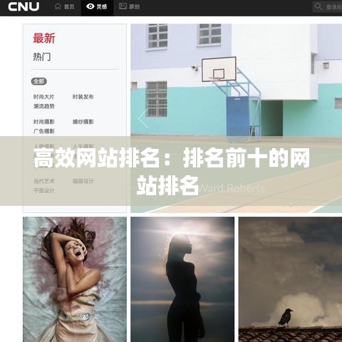 高效网站排名：排名前十的网站排名 
