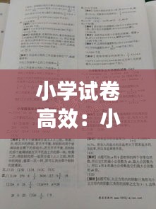 小学试卷高效：小学试卷精选 