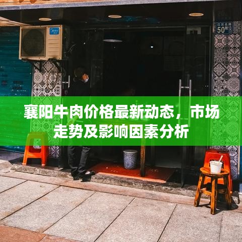 襄阳牛肉价格最新动态，市场走势及影响因素分析