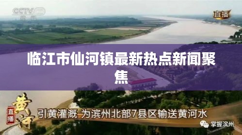 临江市仙河镇最新热点新闻聚焦