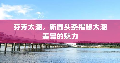 芬芳太湖，新闻头条揭秘太湖美景的魅力