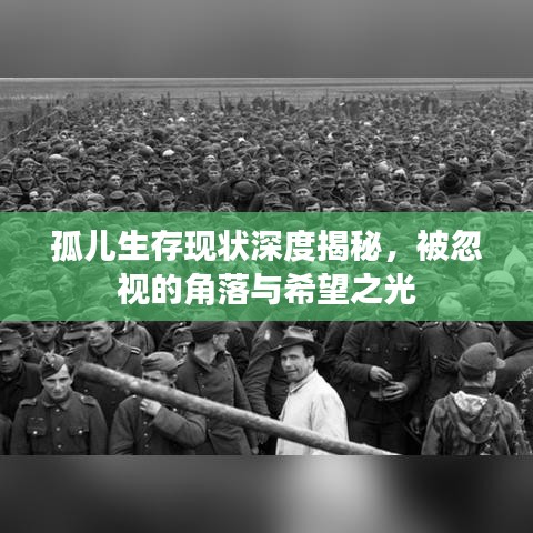 孤儿生存现状深度揭秘，被忽视的角落与希望之光