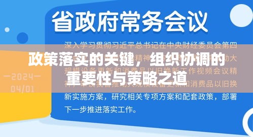 政策落实的关键，组织协调的重要性与策略之道