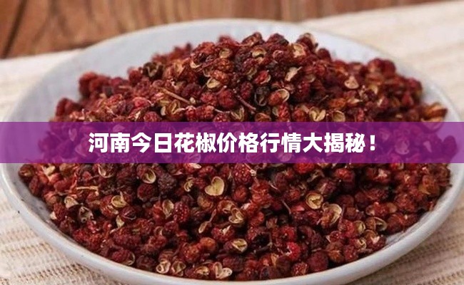 河南今日花椒价格行情大揭秘！