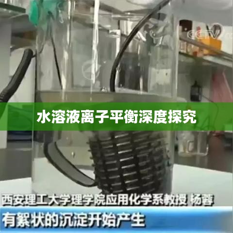 水溶液离子平衡深度探究
