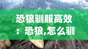 恐狼驯服高效：恐狼,怎么驯服 
