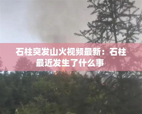 石柱突发山火视频最新：石柱最近发生了什么事 