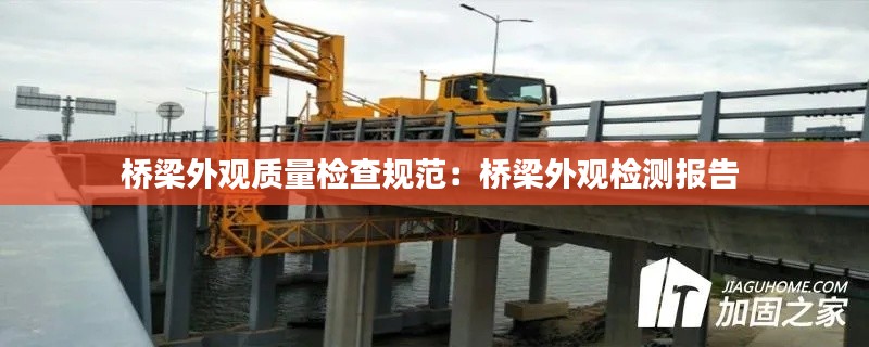 鸟吏鼈官 第2页