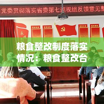粮食整改制度落实情况：粮食整改台账 