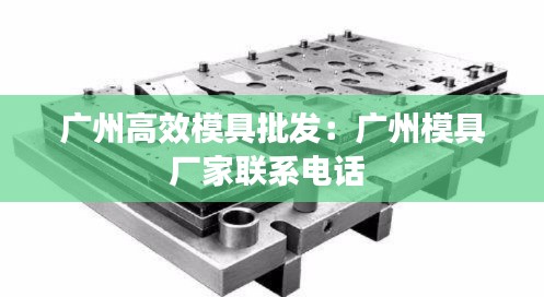 广州高效模具批发：广州模具厂家联系电话 