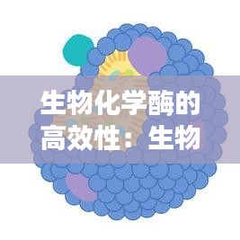 生物化学酶的高效性：生物化学酶的总结 