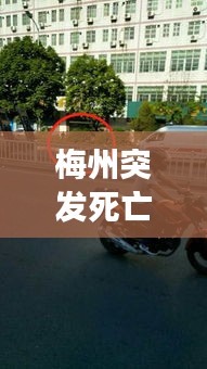 梅州突发死亡事件：2020年梅州凶杀案 