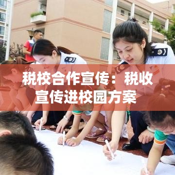 税校合作宣传：税收宣传进校园方案 