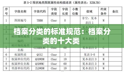 档案分类的标准规范：档案分类的十大类 