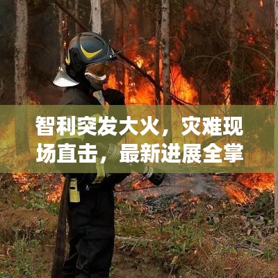 智利突发大火，灾难现场直击，最新进展全掌握