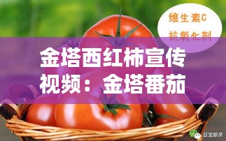 张灯挂彩 第2页