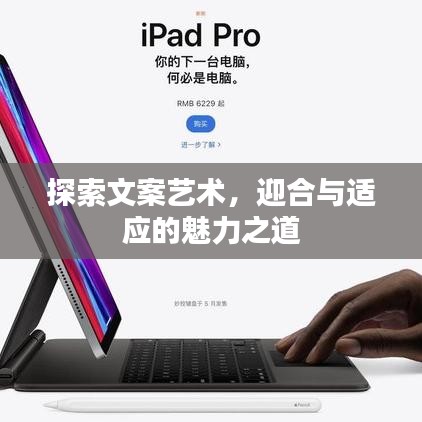 探索文案艺术，迎合与适应的魅力之道