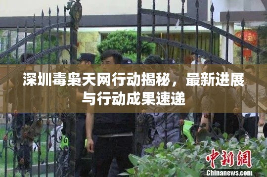深圳毒枭天网行动揭秘，最新进展与行动成果速递