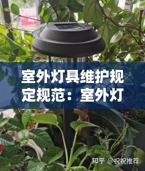 飞来横祸 第2页