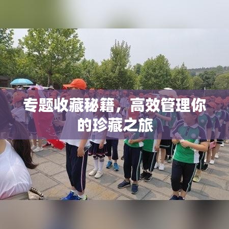专题收藏秘籍，高效管理你的珍藏之旅