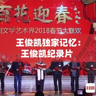 王俊凯独家记忆：王俊凯纪录片 