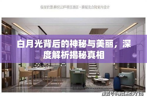 白月光背后的神秘与美丽，深度解析揭秘真相