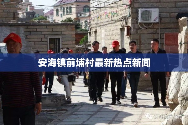 安海镇前埔村最新热点新闻