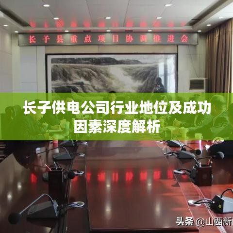 长子供电公司行业地位及成功因素深度解析