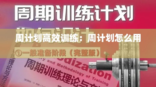 周计划高效训练：周计划怎么用 