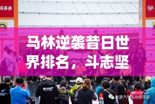马林逆袭昔日世界排名，斗志坚韧精神闪耀赛场