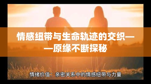 情感纽带与生命轨迹的交织——原缘不断探秘