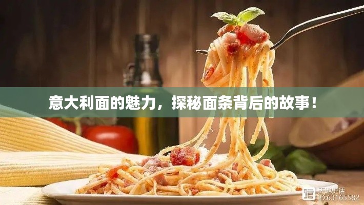 意大利面的魅力，探秘面条背后的故事！