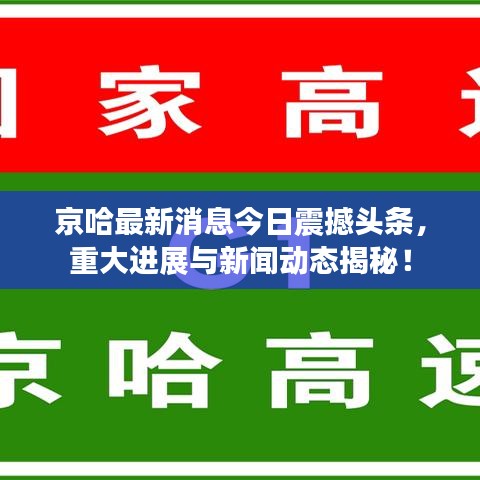 京哈最新消息今日震撼头条，重大进展与新闻动态揭秘！