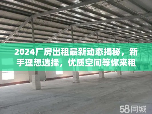 2024厂房出租最新动态揭秘，新手理想选择，优质空间等你来租！