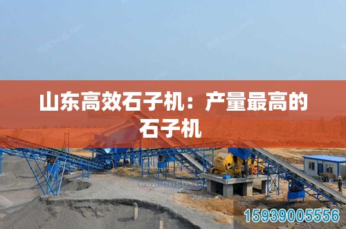 山东高效石子机：产量最高的石子机 