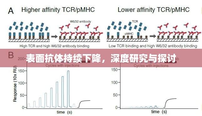 表面抗体持续下降，深度研究与探讨