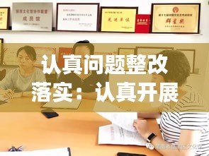认真问题整改落实：认真开展问题整改 