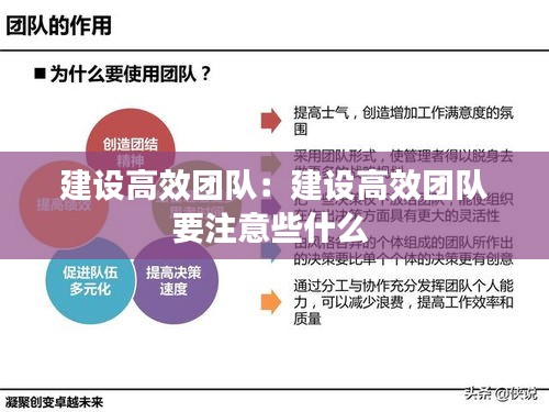 建设高效团队：建设高效团队要注意些什么 