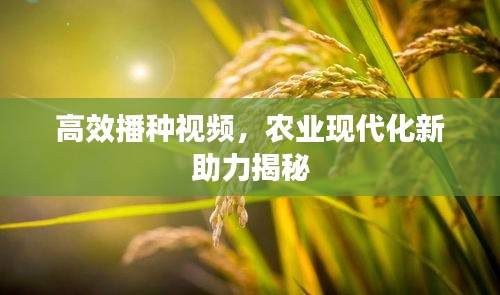 高效播种视频，农业现代化新助力揭秘