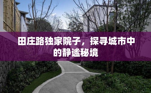 田庄路独家院子，探寻城市中的静谧秘境