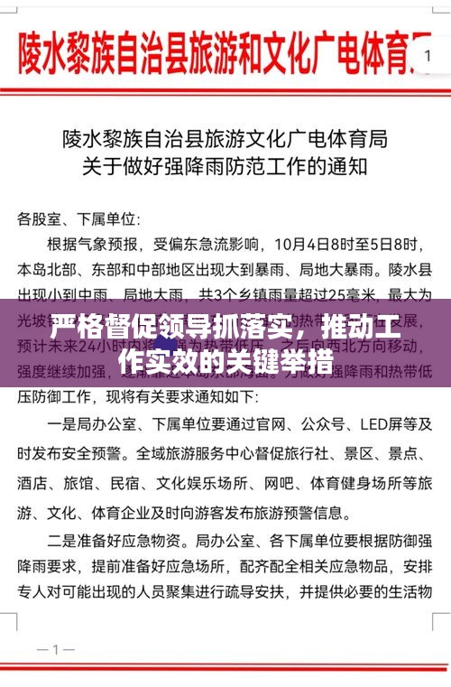 严格督促领导抓落实，推动工作实效的关键举措