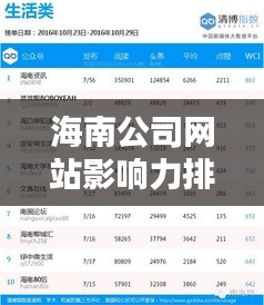 海南公司网站影响力排名揭秘