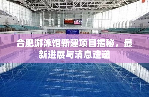 合肥游泳馆新建项目揭秘，最新进展与消息速递